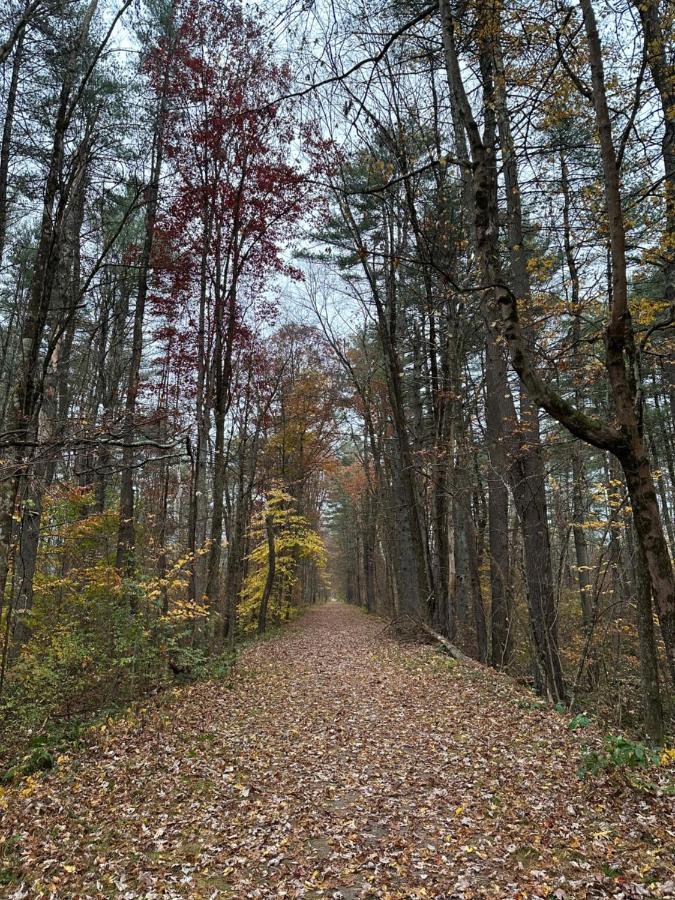 Escape To A Streamside Cabin In The Lower Catskills Wurtsboro Екстер'єр фото